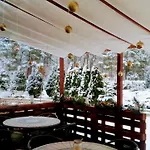 Homestay Goscinne Przylesie *