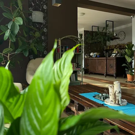 Goscinne Przylesie * Łobez