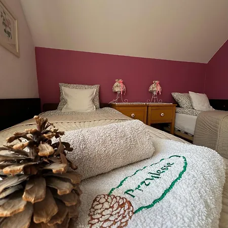 Accommodatie bij particulieren Goscinne Przylesie *