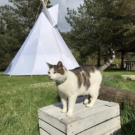 Accommodatie bij particulieren Goscinne Przylesie *