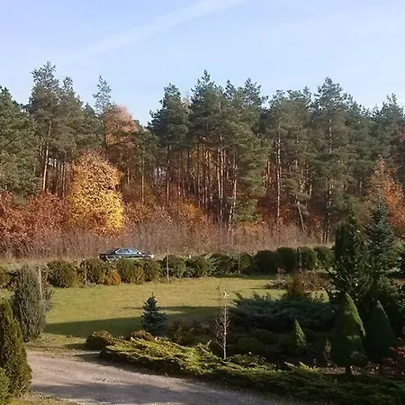Homestay Goscinne Przylesie *