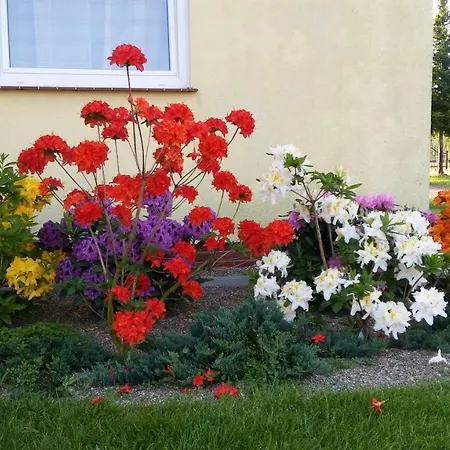 Goscinne Przylesie Homestay Lobez