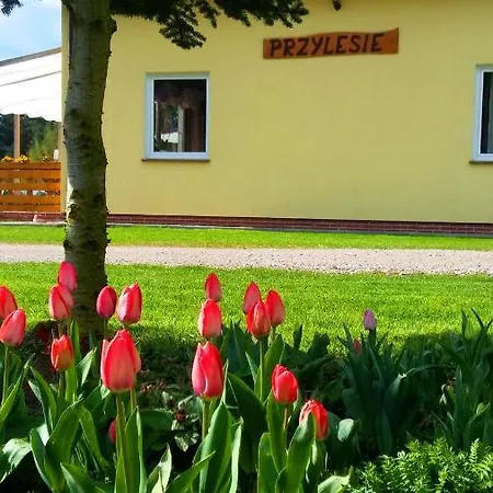 Goscinne Przylesie *