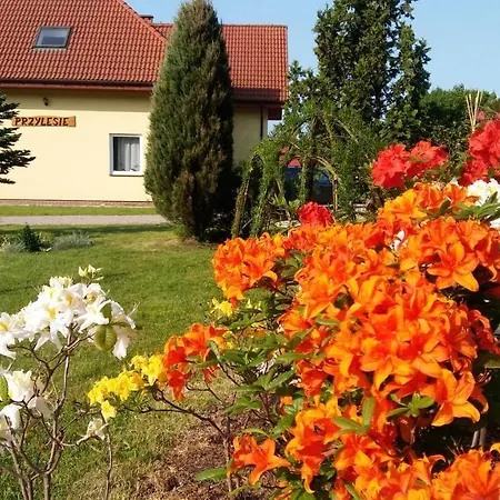 Accommodatie bij particulieren Goscinne Przylesie *