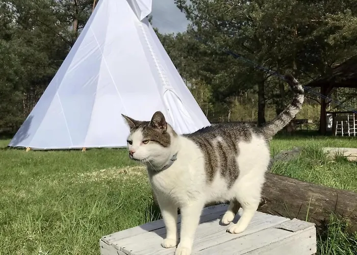 民宿 Goscinne Przylesie *