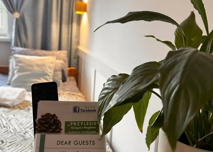 Goscinne Przylesie Łobez