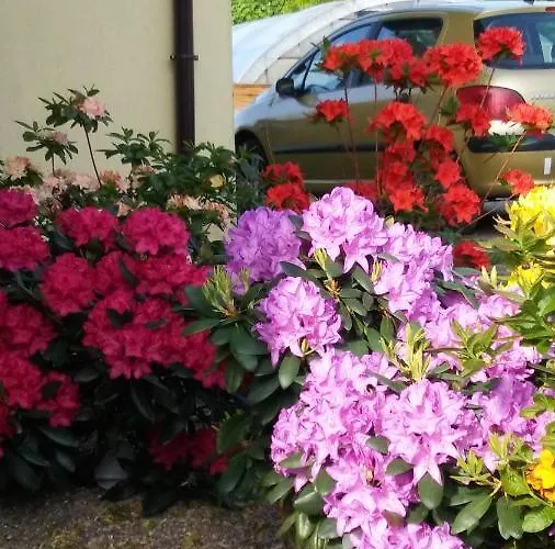 Goscinne Przylesie Habitación en casa particular Łobez