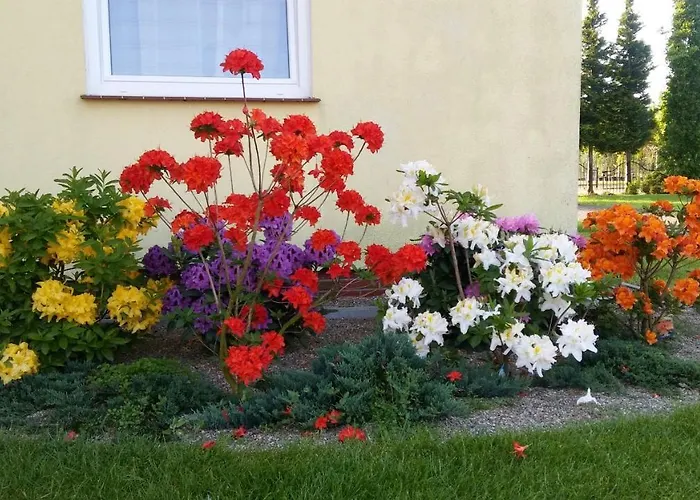 Goscinne Przylesie Habitación en casa particular Łobez