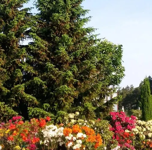 Habitación en casa particular Goscinne Przylesie Łobez