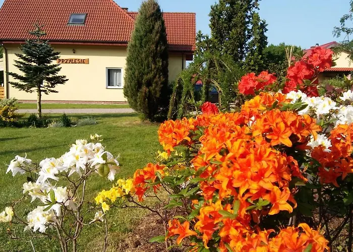 Quarto em Acomodações Particulares Goscinne Przylesie *